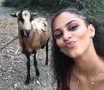chevre Selfie avec une chèvre