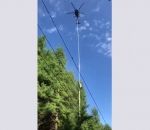 helicoptere arbre Hélicoptère taille-haie