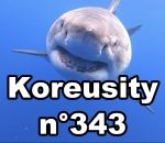 koreusity compilation septembre Koreusity n°343