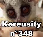 koreusity octobre compilation Koreusity n°348