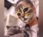 visage reaction Des chats voient leur maître derrière un filtre Chat