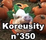 koreusity compilation 2019 Koreusity n°350