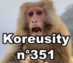 koreusity compilation novembre Koreusity n°351