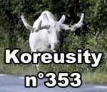 compilation Koreusity n°353