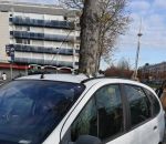 transpercer voiture royal Une voiture transpercée par un arbre (Nantes)