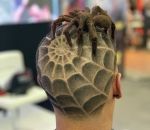 coupe coiffure araignee Coupe de cheveux araignée