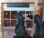 deguisement dinosaure Réunion de famille dans un aéroport