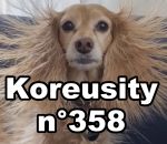 koreusity compilation janvier Koreusity n°358