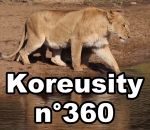 koreusity compilation janvier Koreusity n°360