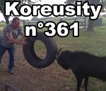 koreusity compilation janvier Koreusity n°361