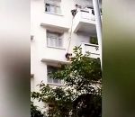 chine immeuble Un enfant suspendu au dessus du vide attaché à une corde pour récupérer un chat