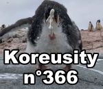 koreusity compilation fevrier Koreusity n°366