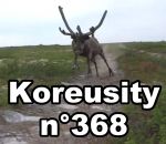koreusity compilation mars Koreusity n°368