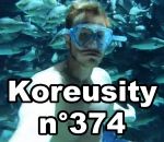 koreusity Koreusity n°374