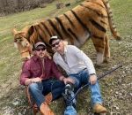 de rayure Tableau de chasse avec une vache tigre