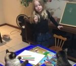 ecole Une fillette apprend à dessiner à des chats