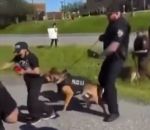 manifestant Un chien policier mord un manifestant