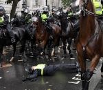 manifestation Une policière à cheval percute un feu de signalisation
