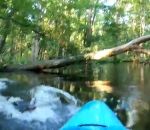 kayak attaque Kayakiste vs Alligator