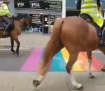 cheval peur Chevaux de police vs Passage piéton pro-LGBT