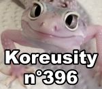 koreusity compilation septembre Koreusity n°396