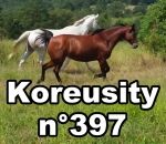 koreusity compilation septembre Koreusity n°397