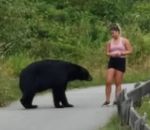 ours Un ours donne un coup de patte à une joggeuse