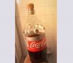 bouteille coca-cola Bouteille de Coca-Mentos dans les toilettes