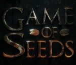 graine ecureuil seeds Game of Seeds 