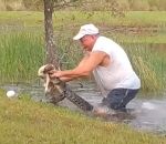 chien gueule Un homme retire son chiot de la gueule d'un alligator