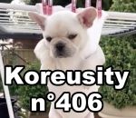 koreusity compilation novembre Koreusity n°406