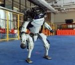robot danse Do You Love Me (Boston Dynamics)