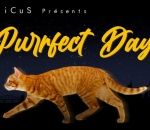 film chat detournement Purrfect Day (Mashup avec des chats)