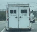 route surprise Attention aux chevaux !