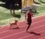 relais course Un chien gagne un relais 4x200m