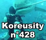 koreusity compilation avril Koreusity n°428