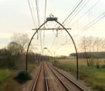train voie Des nids de cigognes au-dessus d'une ligne ferroviaire (Landes)
