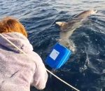 sauvetage dauphin Un dauphin pris dans une bouée au large de Saint-Cyr-sur-Mer
