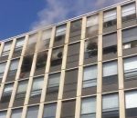 incendie immeuble Un chat saute du 4e étage d'un immeuble en feu (Chicago)