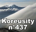 compilation web 2021 Koreusity n°437