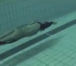 fake montage nageur Mauvaise surprise dans une piscine