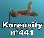 koreusity compilation aout Koreusity n°441