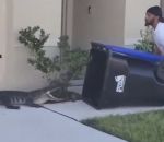 poubelle Attraper un alligator avec une poubelle