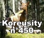 koreusity compilation zapping Koreusity n°450