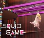hamster jeu « Squid Game » avec des hamsters