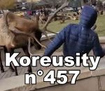 zapping compilation decembre Koreusity n°457