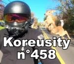 koreusity decembre fail Koreusity n°458