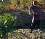 collision Collision en plein vol entre un chien et un enfant