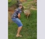 mouton homme Jouer à saute-mouton avec un mouton