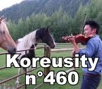 koreusity compilation janvier Koreusity n°460